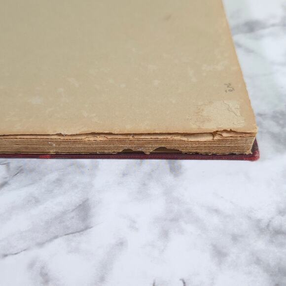 Photocharts Theory & Practice Of Exposure by Hamilton Allport 1938 - Picture 5 of 16